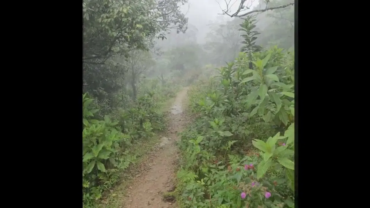 우중 산행(2023. 08. 24.) 영상 미리보기